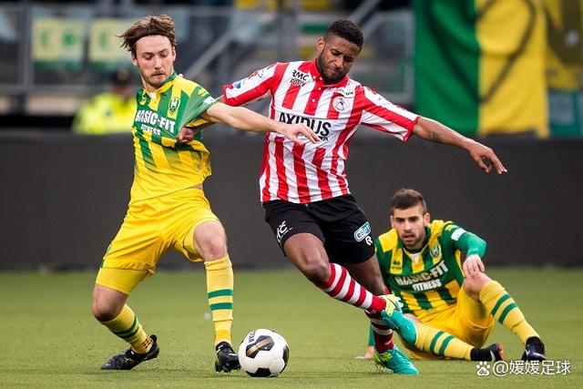 段多样化 段多样化