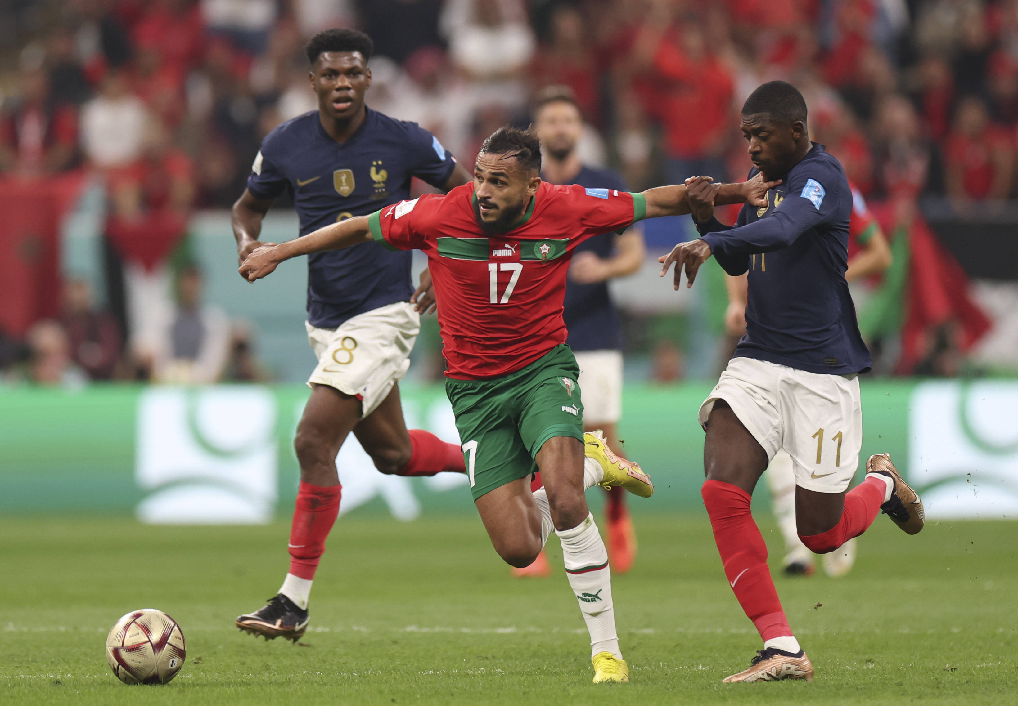 这不仅仅伤 这不仅仅伤