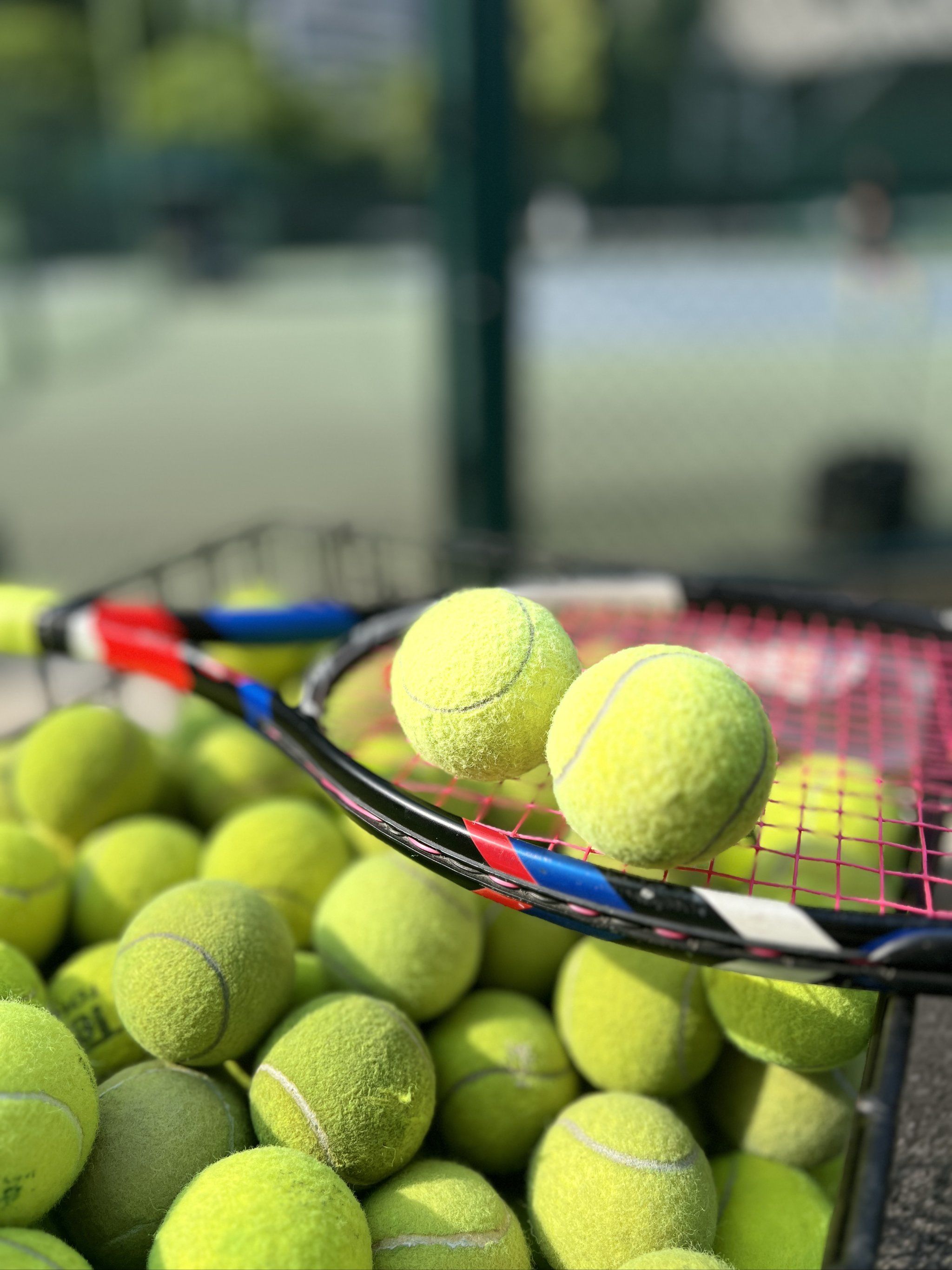 那场面必将 那场面必将