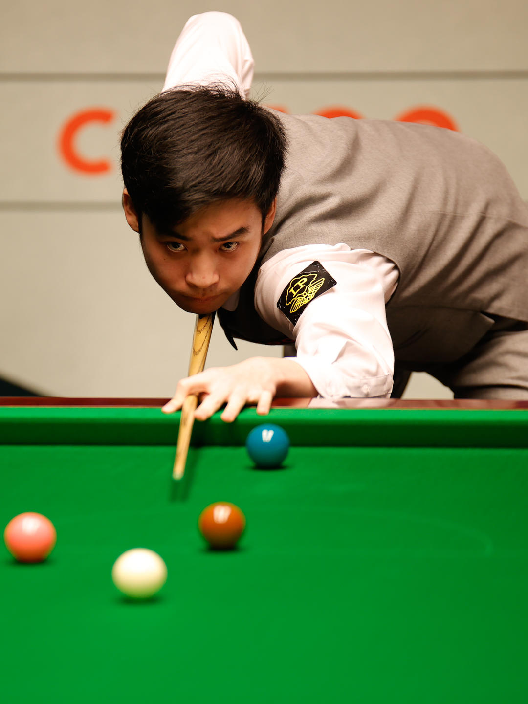 现卓越实力 现卓越实力