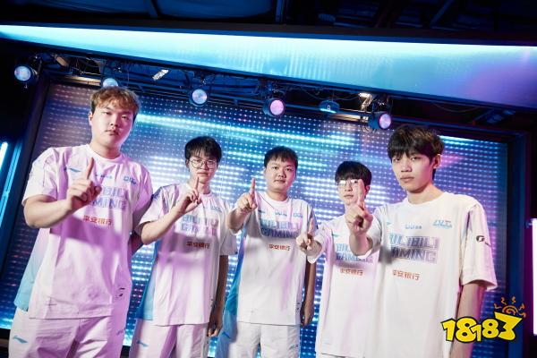 维罗纳的防 维罗纳的防