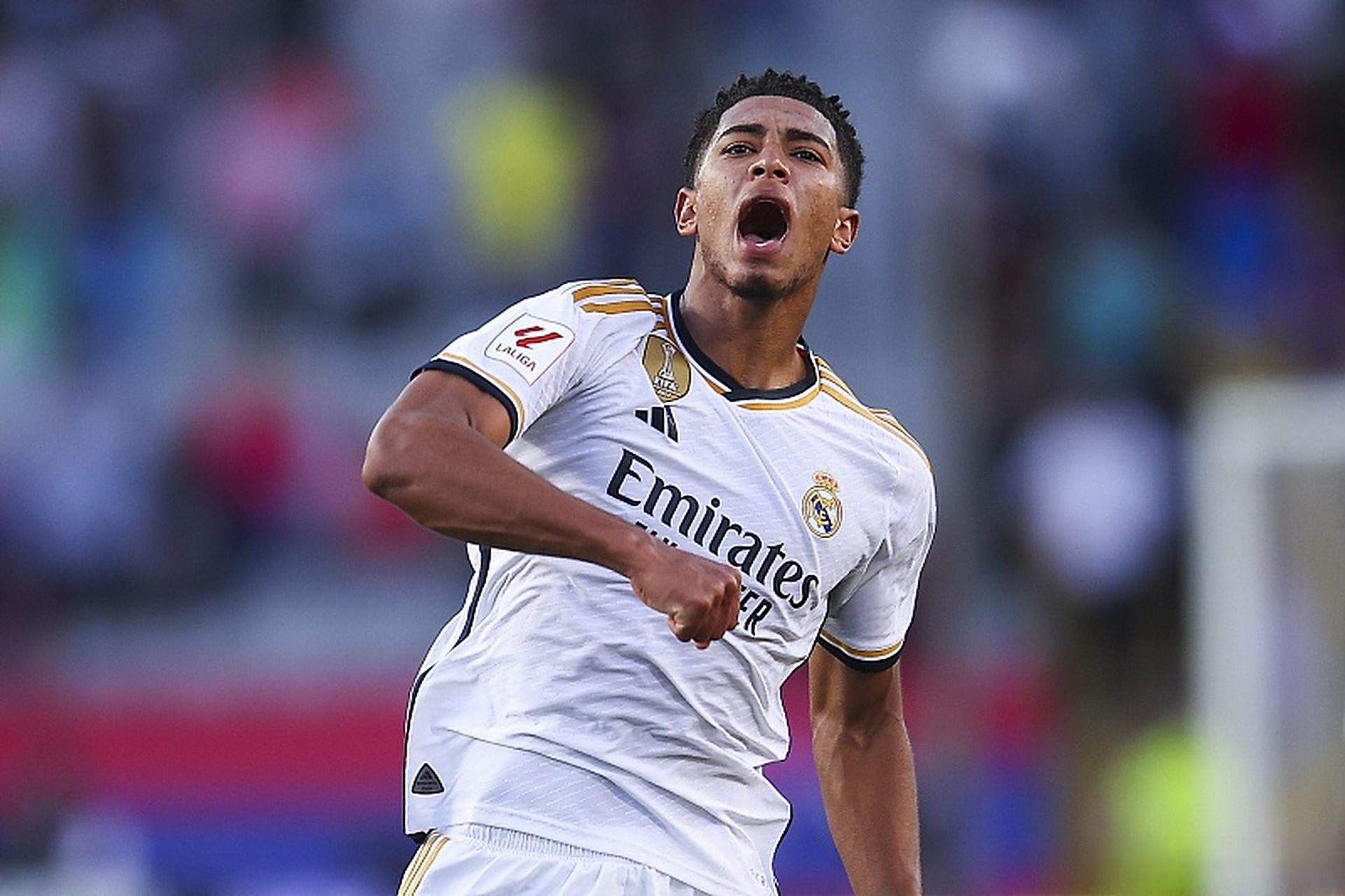 打野个体节 打野个体节